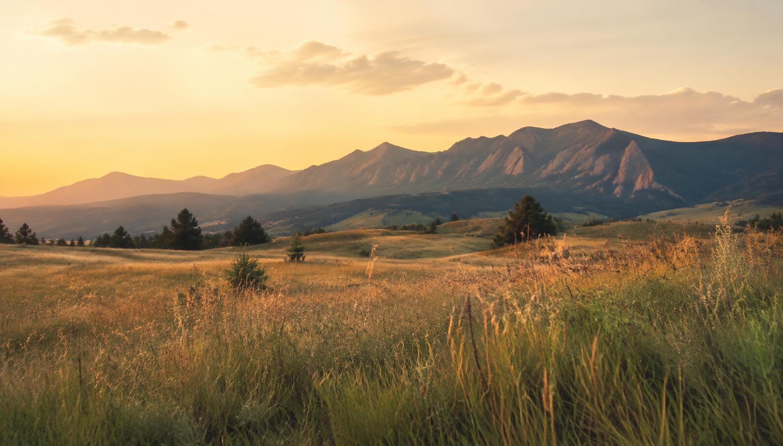 Boulder foothills and meadow at golden hour